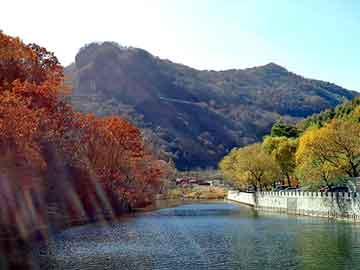 新澳天天开奖资料大全旅游团，变压器铝带